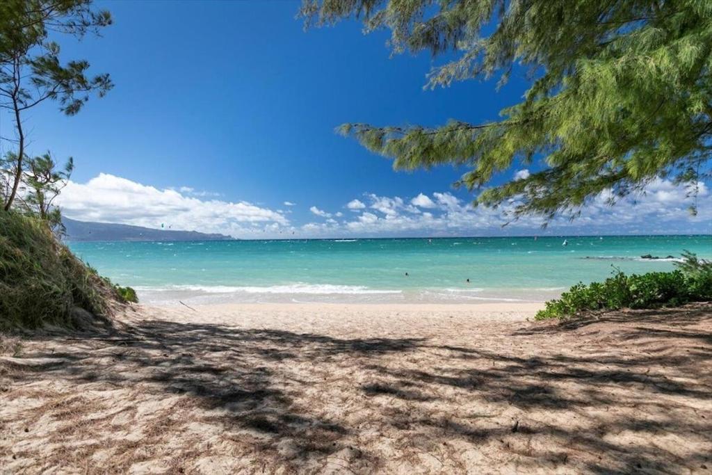 Unit 19 Maui Ohana Modern Studio Wailuku Zewnętrze zdjęcie