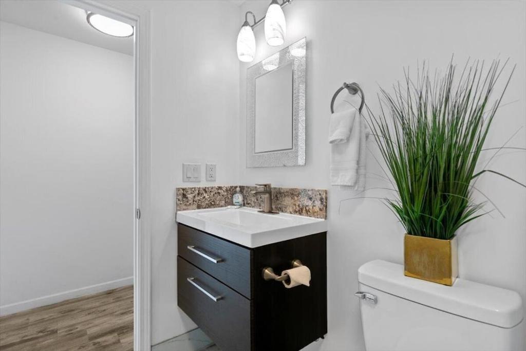 Unit 19 Maui Ohana Modern Studio Wailuku Zewnętrze zdjęcie