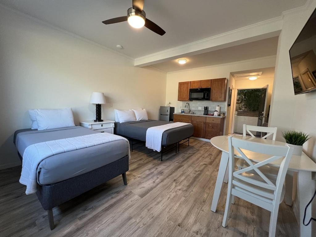 Unit 19 Maui Ohana Modern Studio Wailuku Zewnętrze zdjęcie